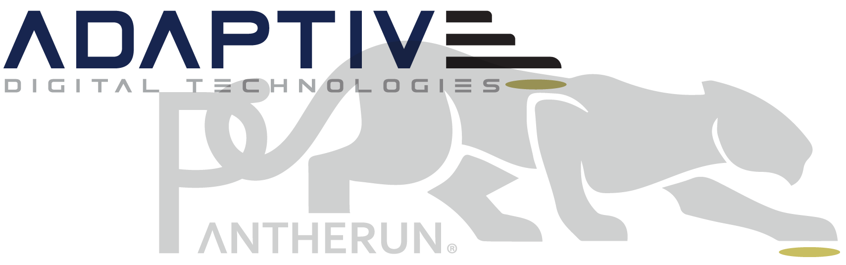 Adaptive Digital