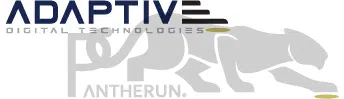 Adaptive Digital